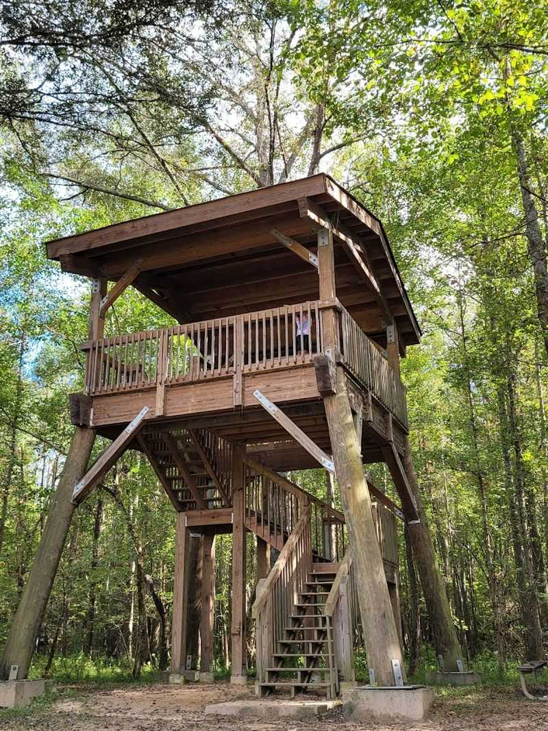 A Lookout Tower With Sweeping Views Of The River And Trails