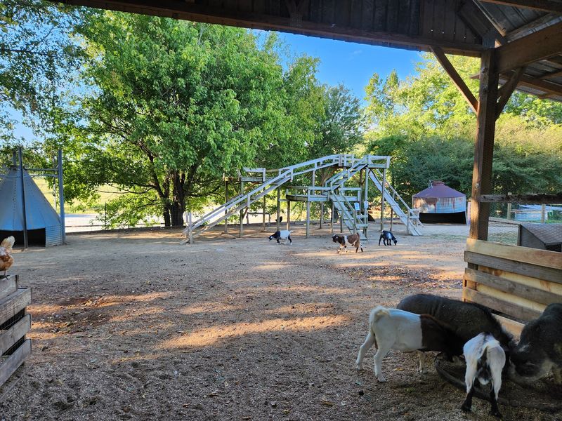 No Weekend Required For Slides, Corn Boxes, And Duck Races