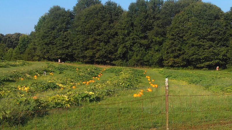 Field Trips That Actually Teach Something