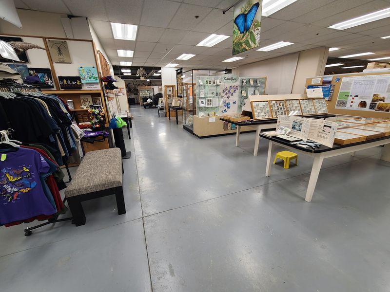 This Free Idaho Museum Is Packed With Fossils, Gemstones And Touch Zones Kids Never Forget - Decor Hint Volunteer Naturalists Who Bring It All To Life