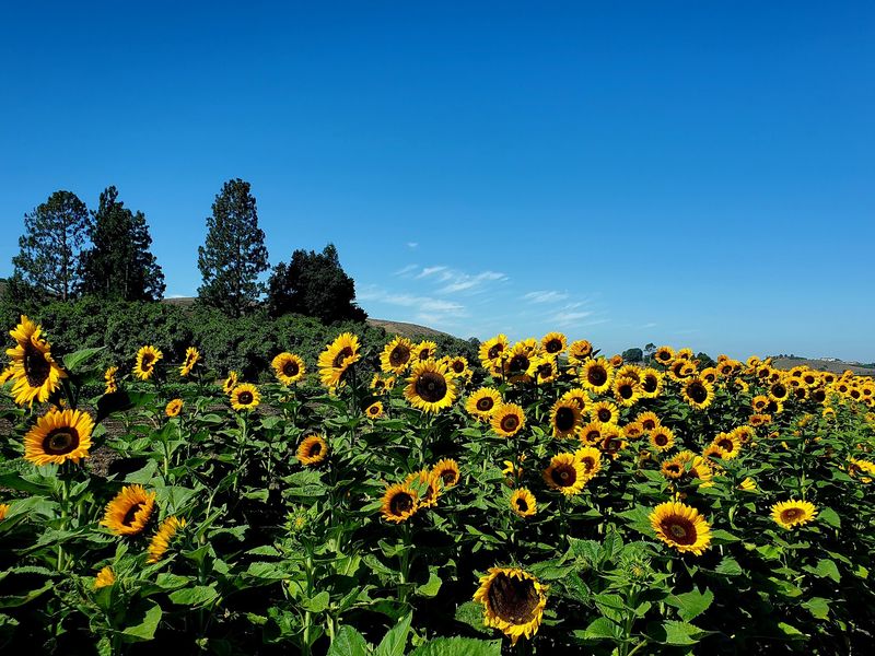 The Farm Is Packed With Fall Photo Stops