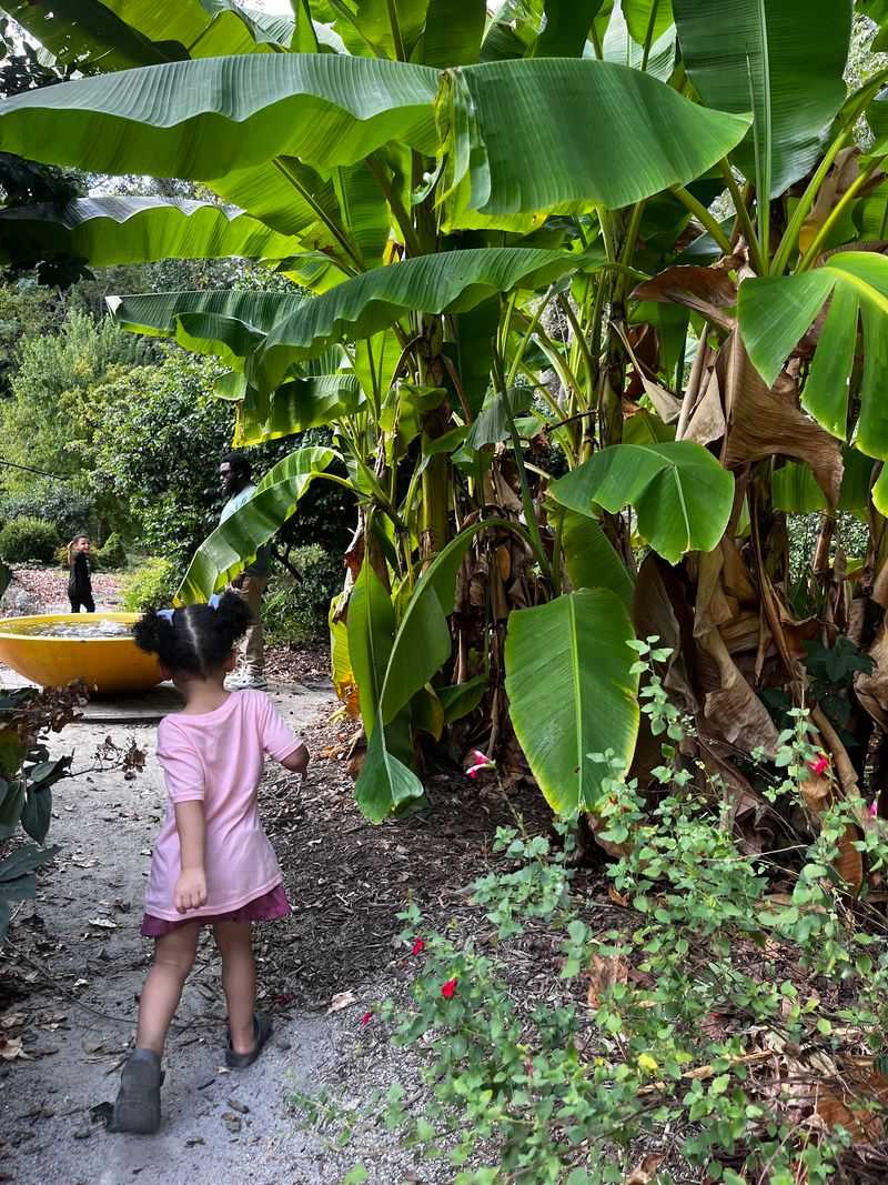 Children’s Secret Garden at Wilson Botanical Gardens, Wilson