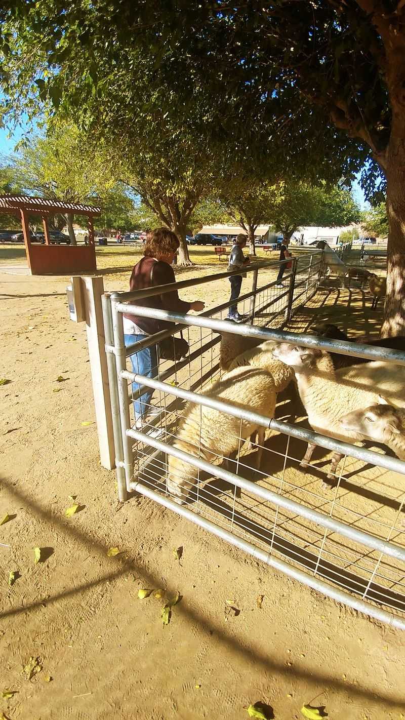 The Farm Zoo And Its Residents