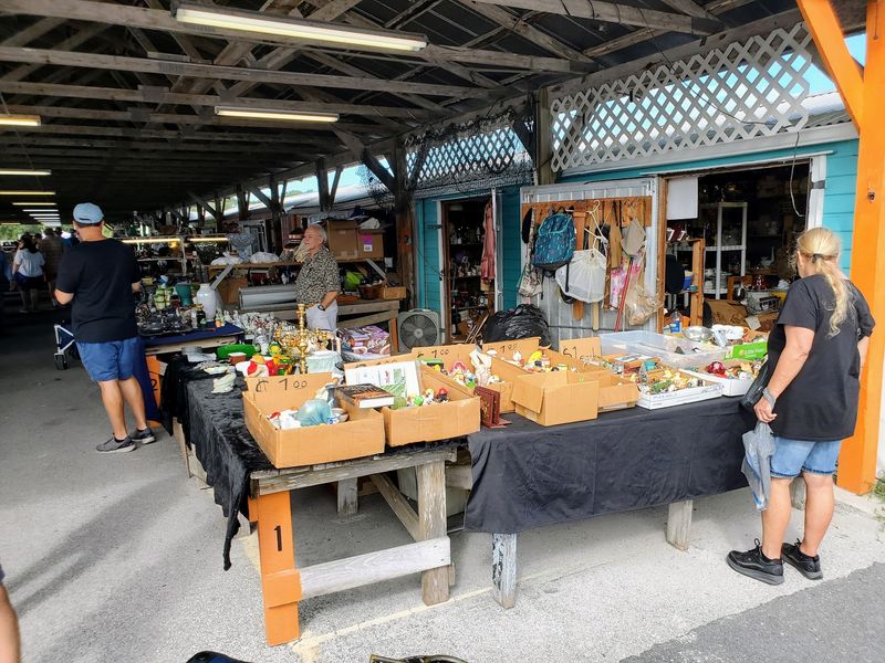 Produce, Plants, and Florida Orchids