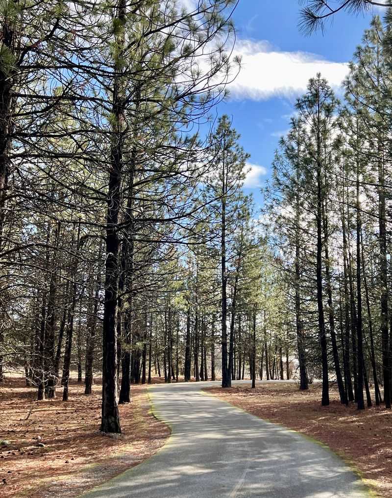 Spokane River Centennial Trail, Spokane