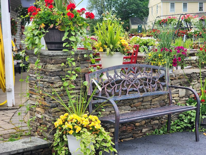 Greenhouses And Seasonal Produce Add Color