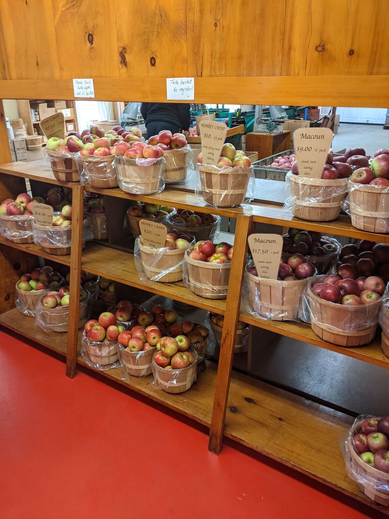Dozens Of Apple Varieties Ripen Through Fall