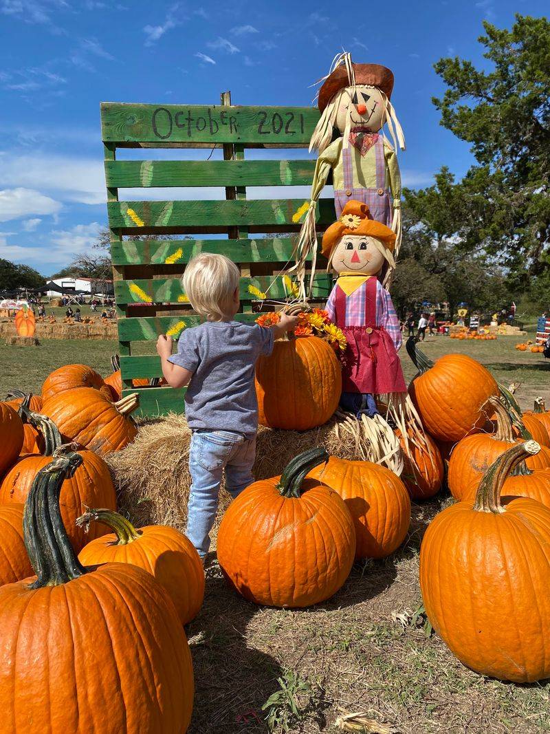 October Brings Pumpkins, Hayrides, And Goats