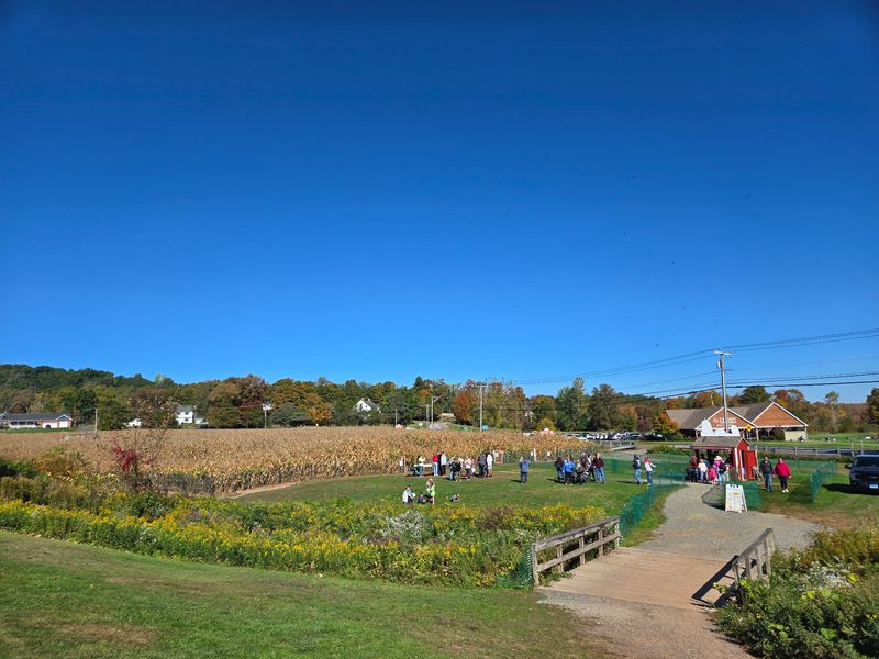 This Massive Connecticut Corn Maze Is Open For Fall And Getting Lost Is Half The Fun - Decor Hint Cider Donuts Reward The Trip