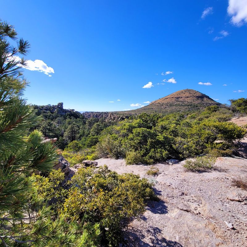 Heart Of Rocks Loop, Willcox