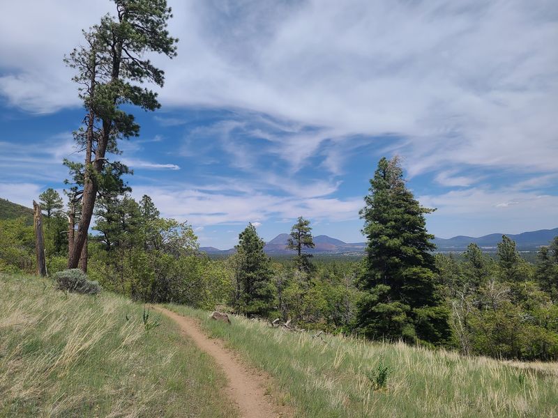 Kelsey-Dorsey Loop, Flagstaff