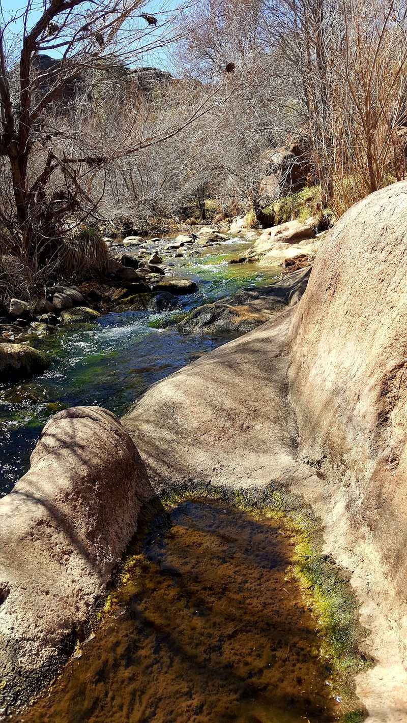 Arizona Trail Passage 23: Mazatzal Divide, Payson