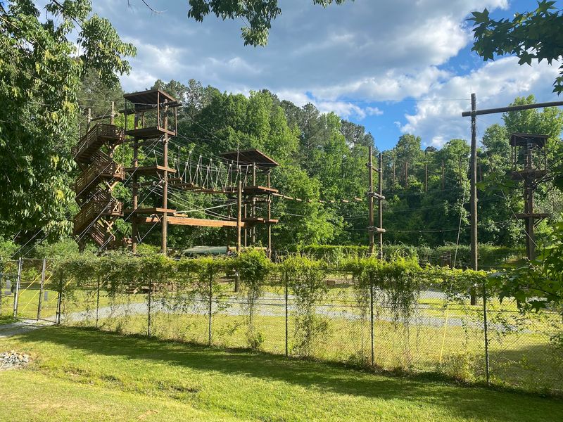 10 North Carolina Towns Where Coyotes Keep Showing Up And Locals Know To Stay Alert - Decor Hint Chapel Hill
