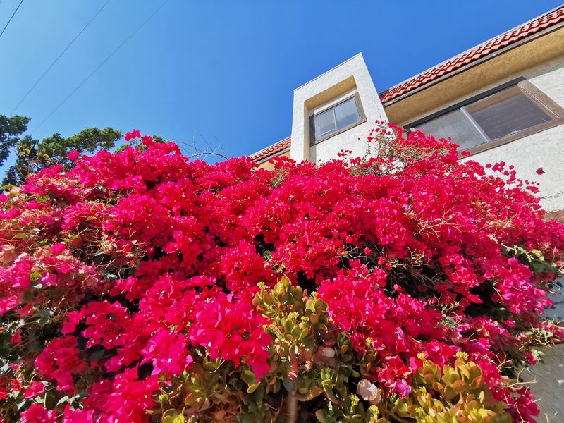 This California City Is Home To One Of The Most Vibrant Asian Communities In The State - Decor Hint A Major Hub For Chinese American Life Took Shape Here