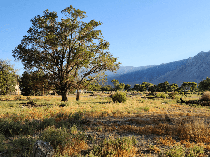 Owens Valley Eventually Takes Its Turn