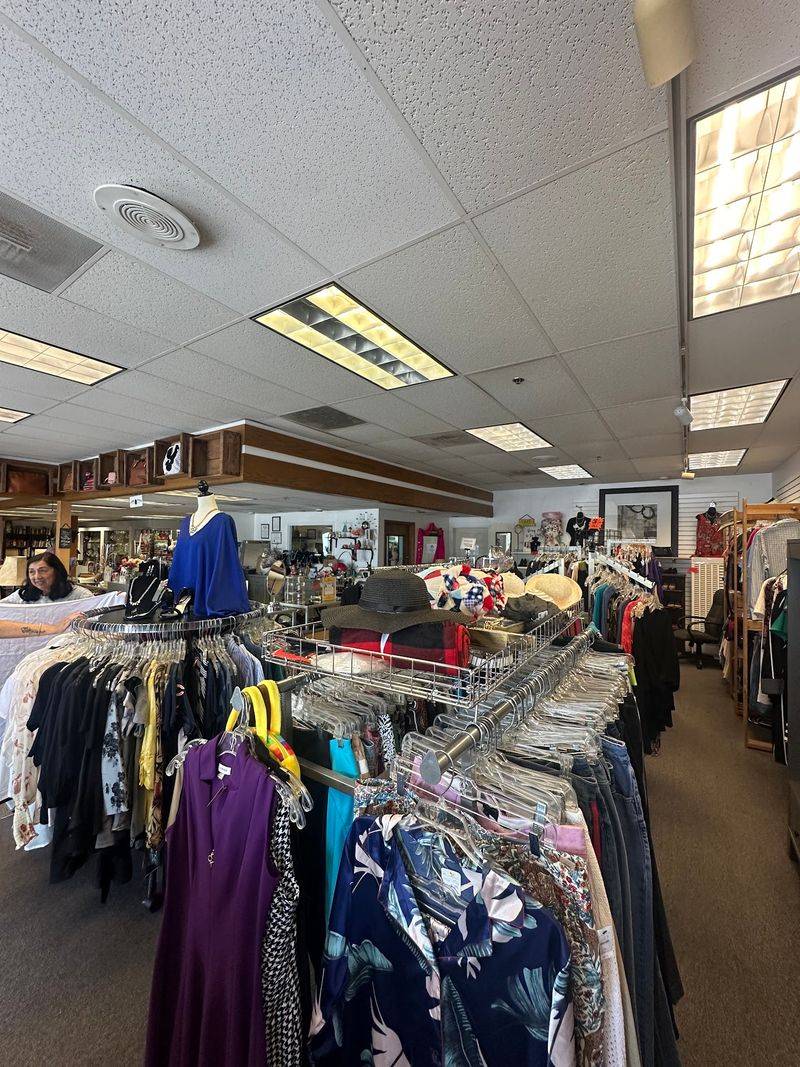 LadyBUG Boutique: Trendy Finds With A Purpose
