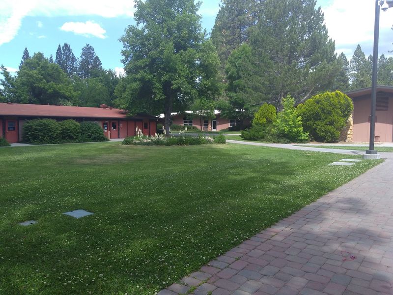 Students Can Actually Live On Campus