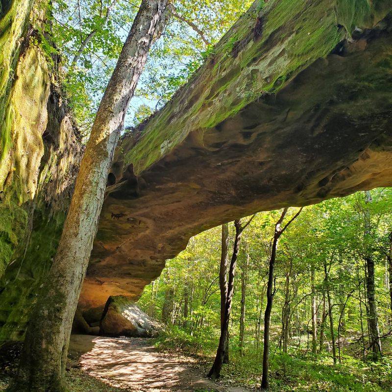 Mantle Rock Preserve