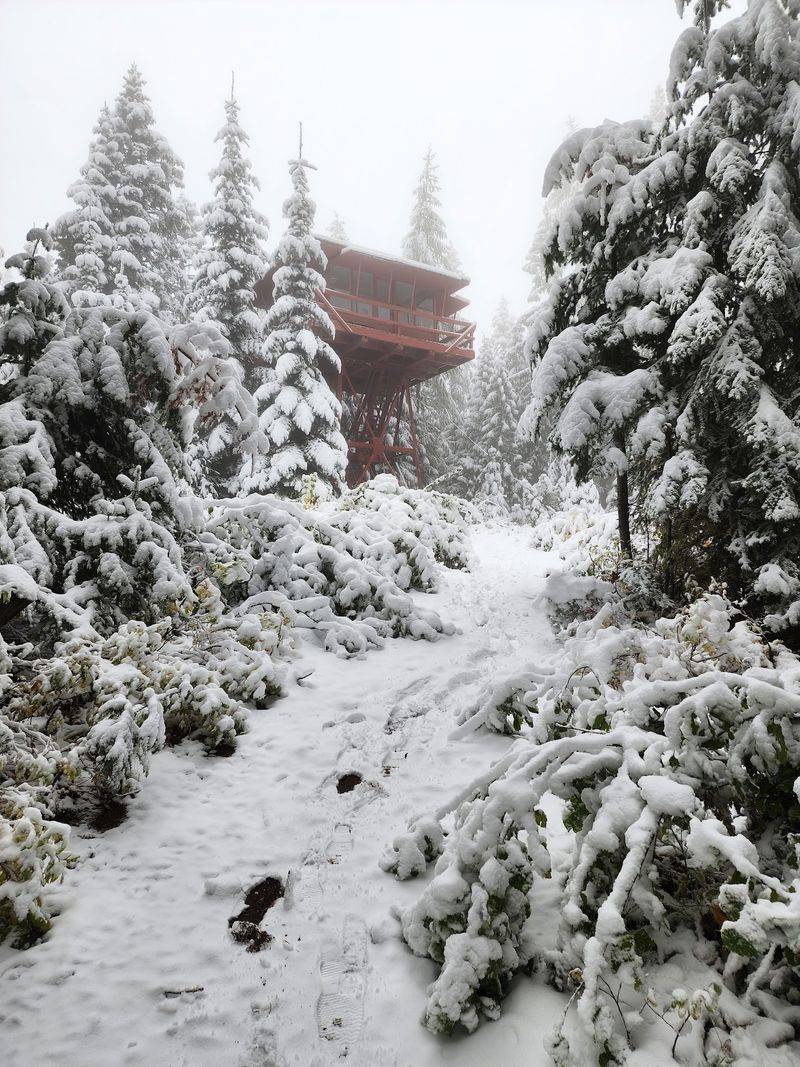 Wander These 9 Idaho Fire Lookout Towers Your Family Will Talk About For Years - Decor Hint Crystal Peak Lookout In Fernwood