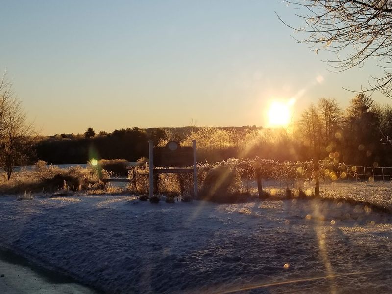 New Hartford