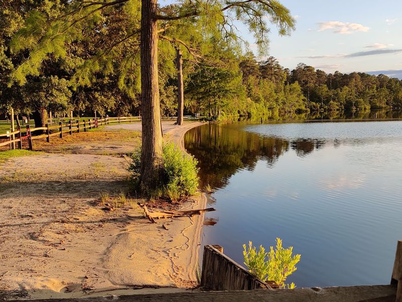 Bay Trail, Jones Lake State Park, Elizabethtown