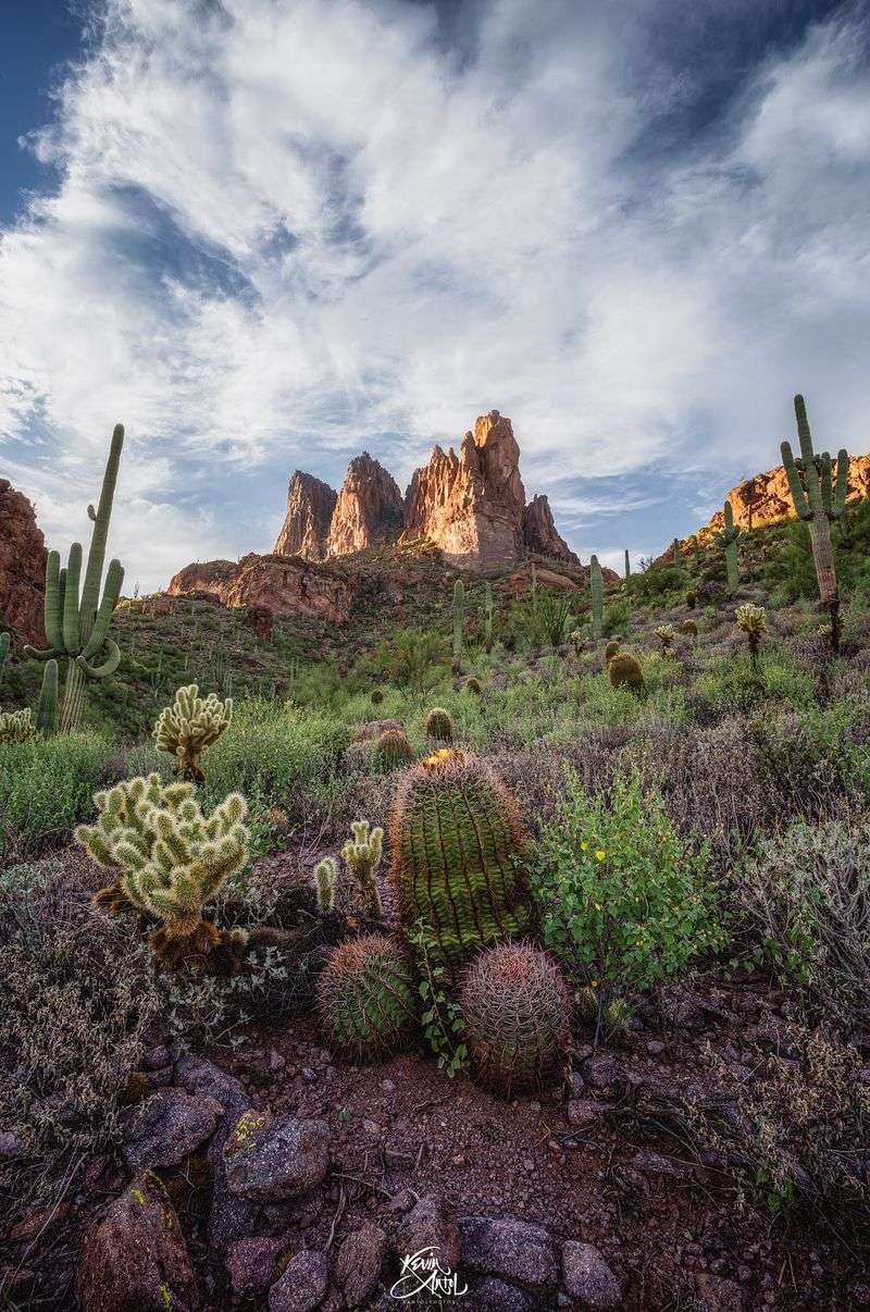 White Rock Springs, Mesa
