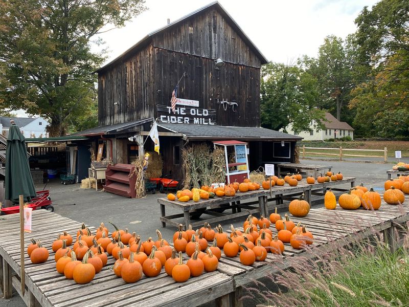 Old Cider Mill, Glastonbury