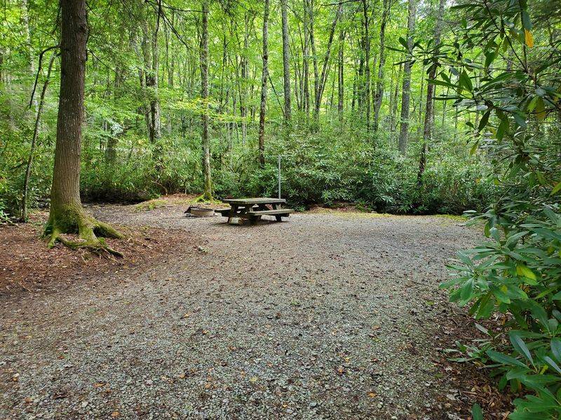 Beartree Campground, Damascus