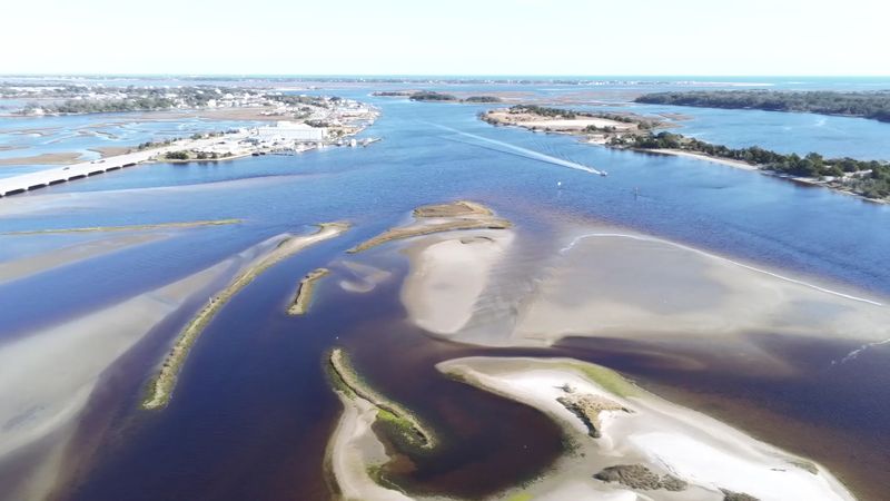 10 North Carolina Coastal Spots Where You Could Encounter The Mysterious Blue Land Crab - Decor Hint Swansboro