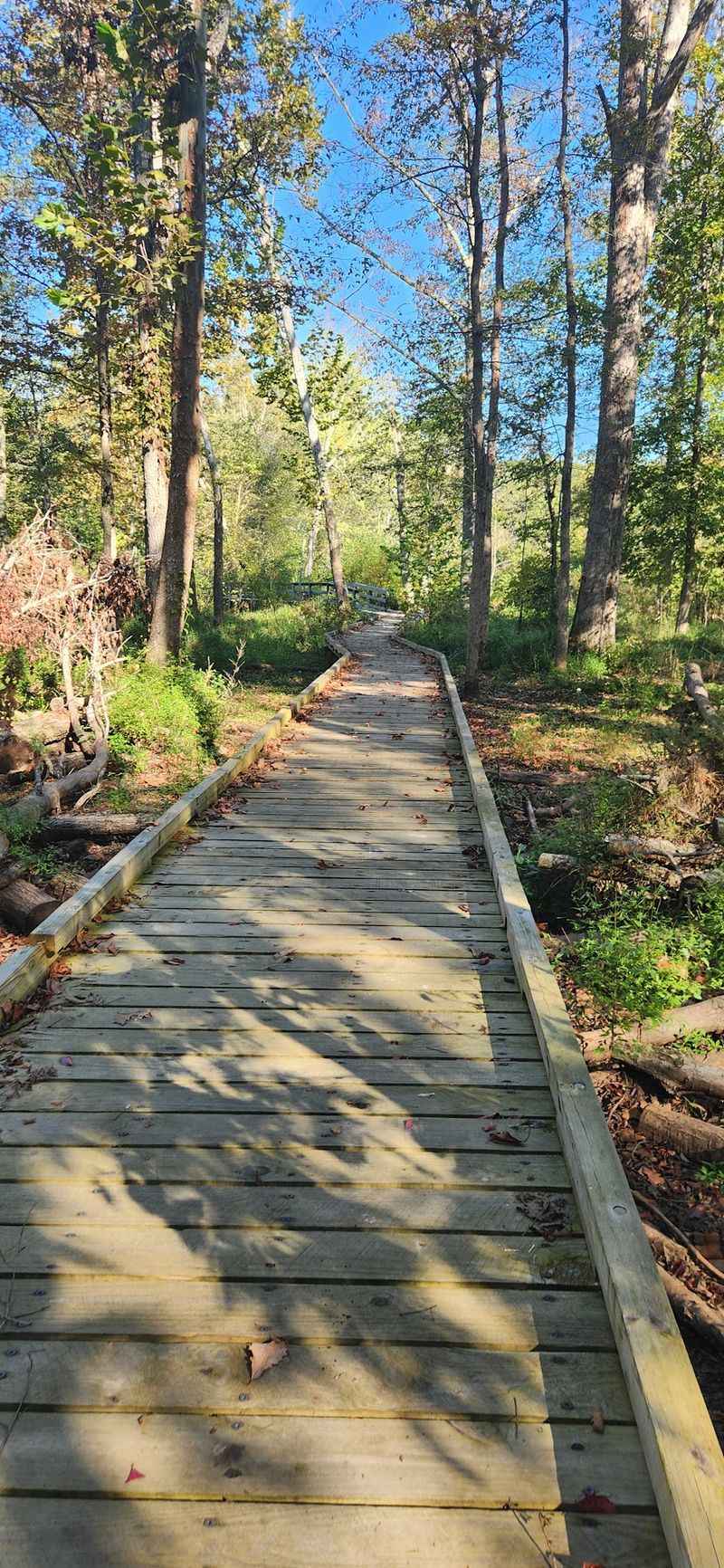 You Can Practically Walk On Water At This Kentucky Water Trail Filled With Eagles And Herons - Decor Hint Solid Ground Fans Get Their Own 4.5-Mile Loop