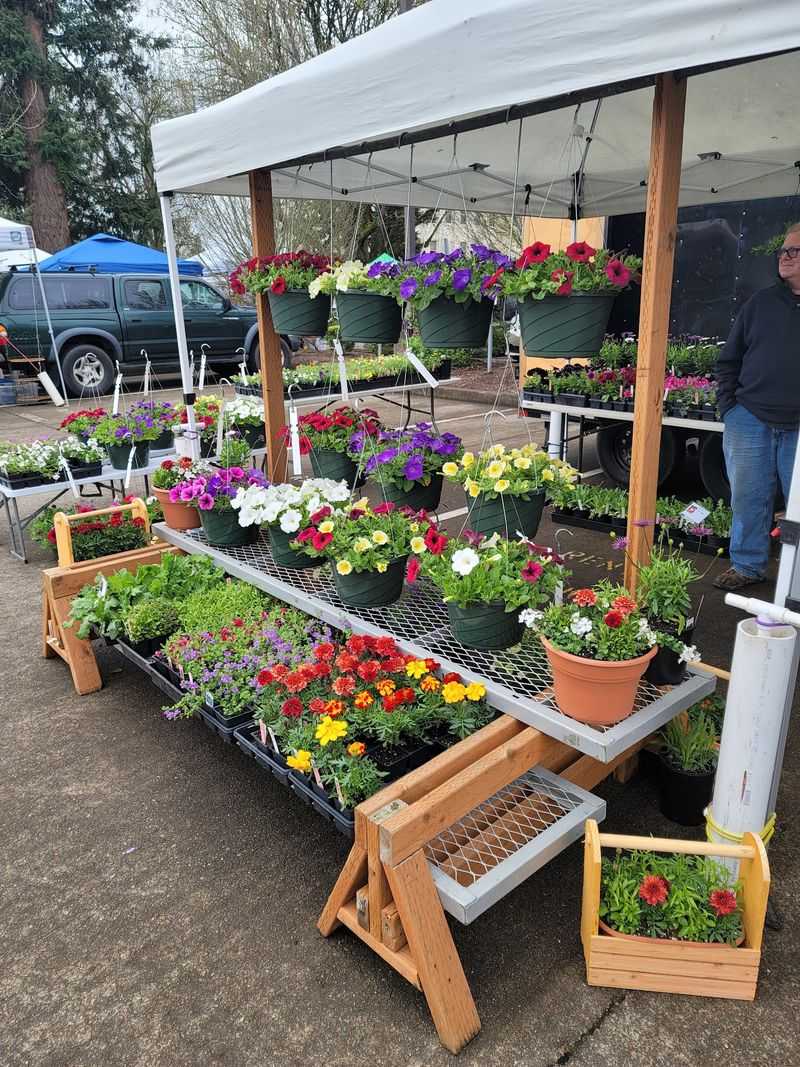 Albany Farmers' Market