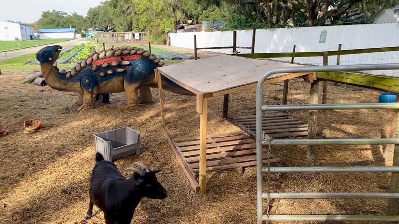 Goats With Names and Personalities