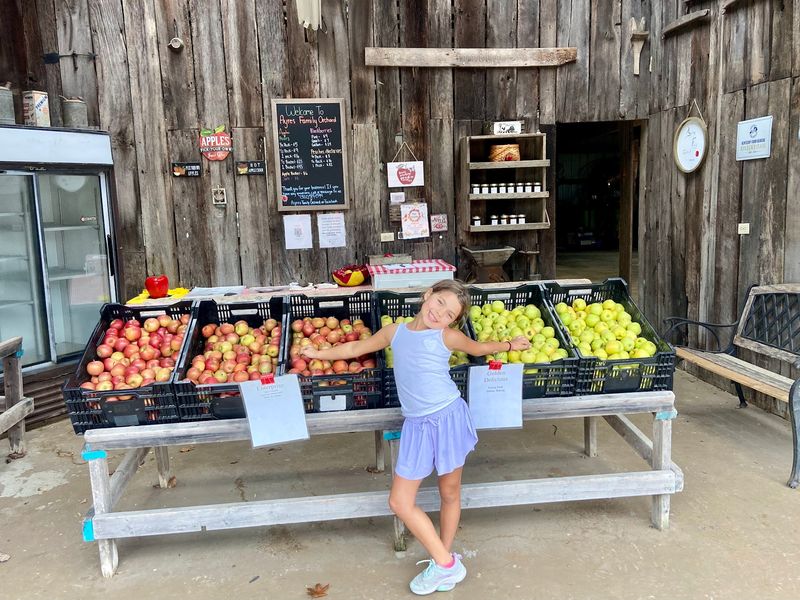Ayres Family Orchard