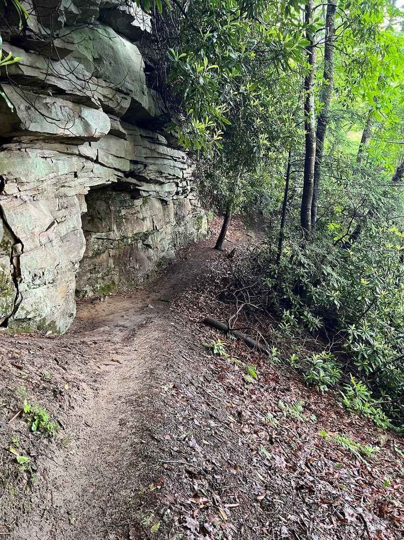 10 Must-Try West Virginia Hikes, Ranked From Gentle To Challenging - Decor Hint Castle Rock Trail, Beaver