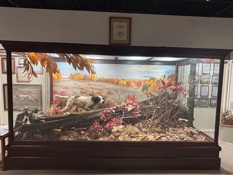 National Bird Dog Museum, Grand Junction