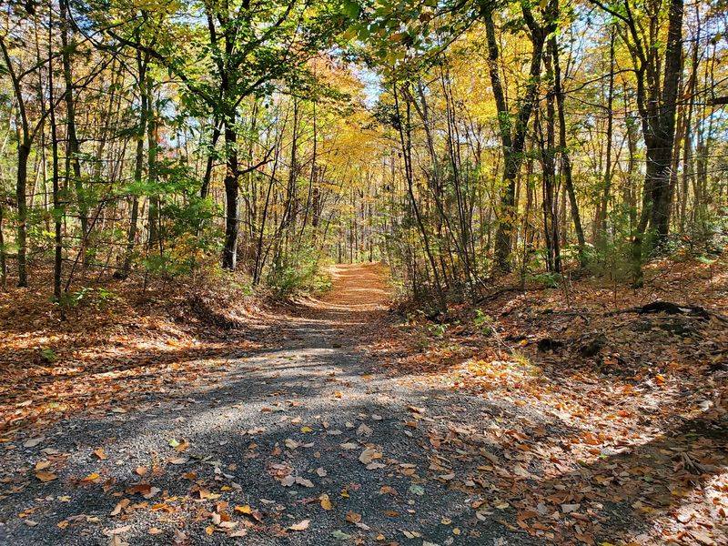 Sessions Woods Wildlife Management Area, Burlington