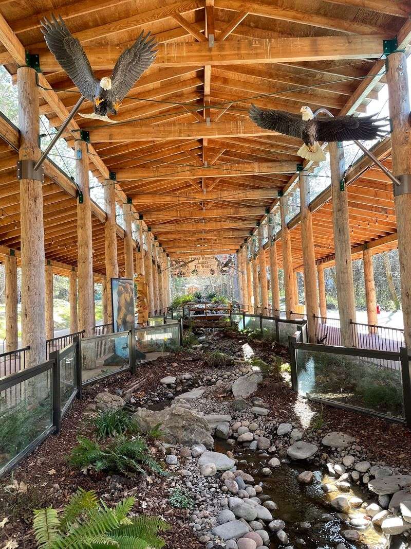 Wildlife Images Rehabilitation & Education Center, Grants Pass