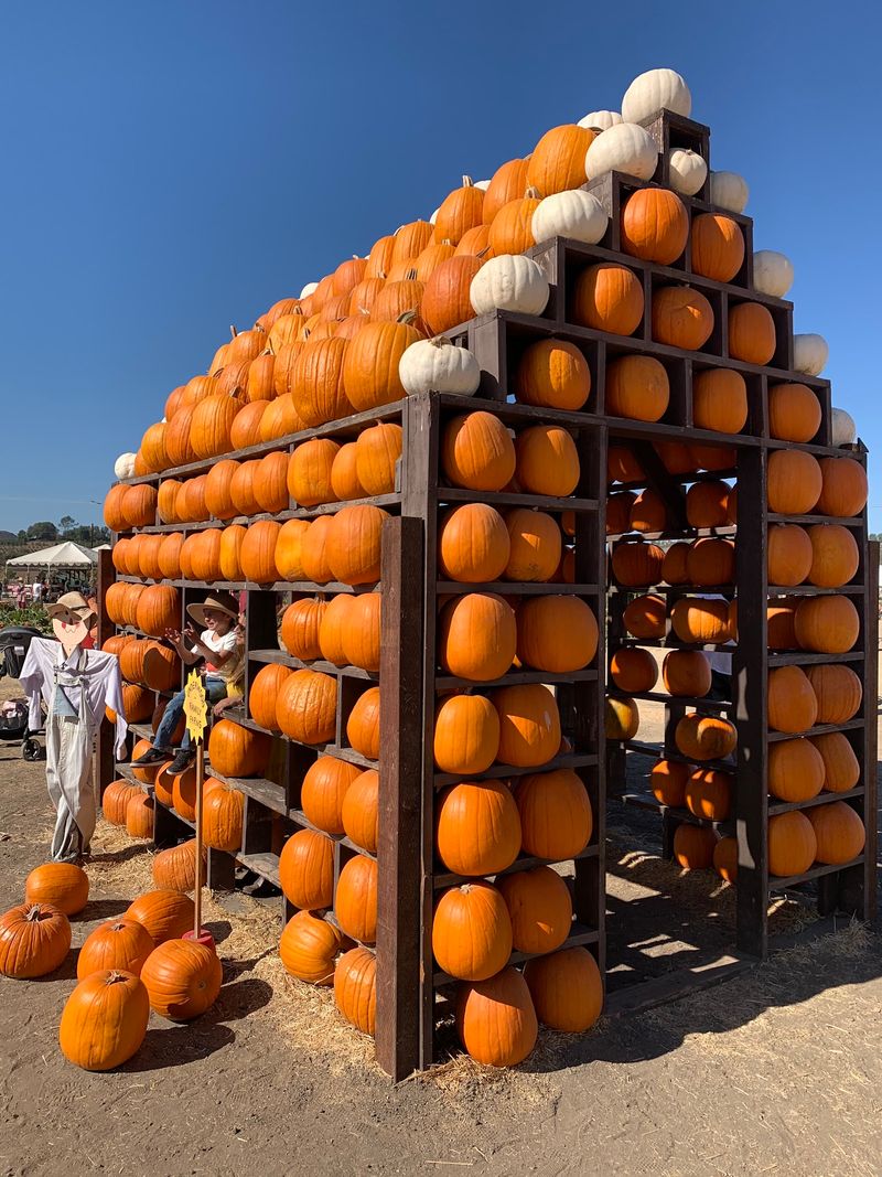 Underwood Family Farms, Moorpark