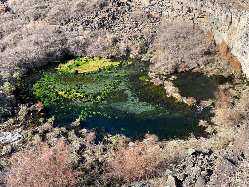 11 Idaho Places That Look Completely Different From The Rest Of The State - Decor Hint Earl M. Hardy Box Canyon Springs Nature Preserve - Near Wendell