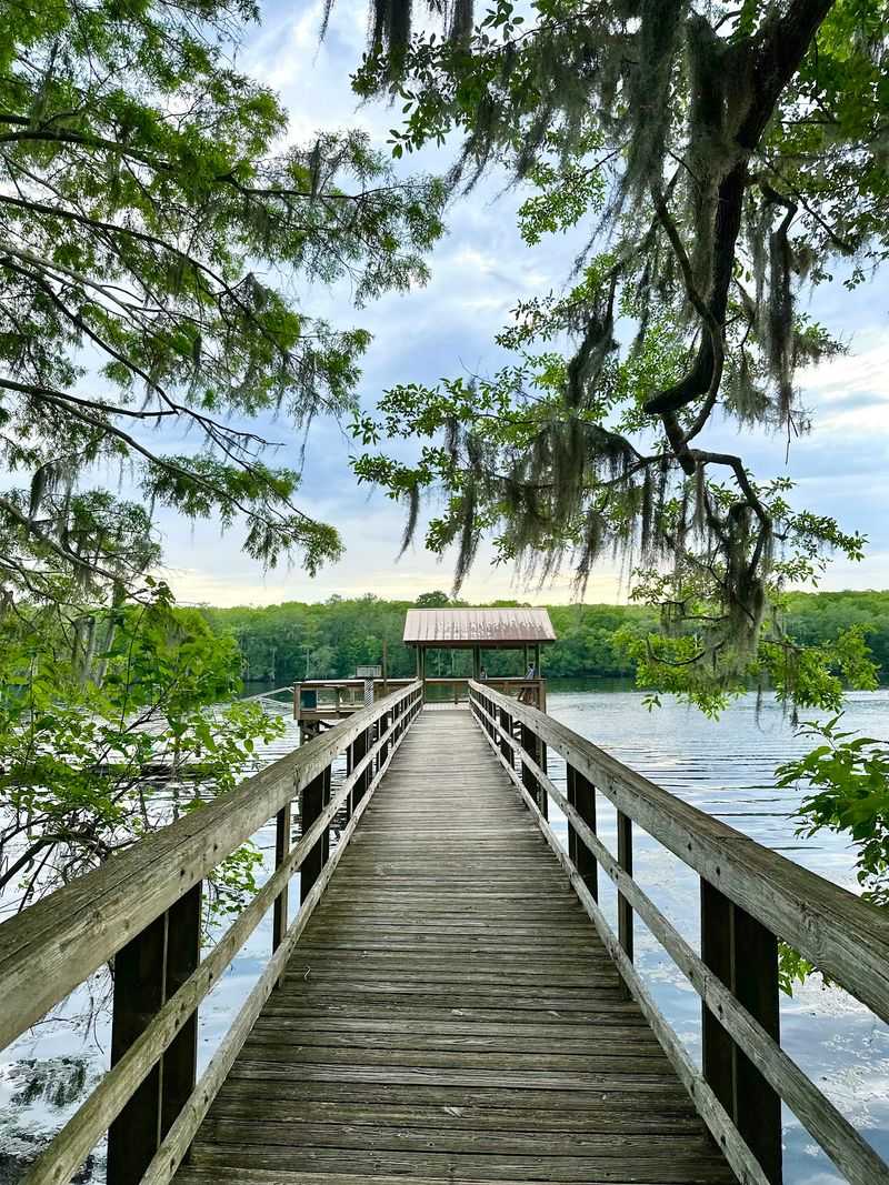 11 Florida Campgrounds So Well Secluded Even Most Residents Miss Them - Decor Hint Manatee Springs State Park, Chiefland