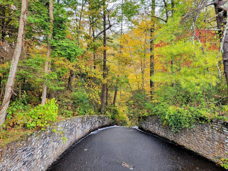 Bear Hair Gap Trail, Blairsville