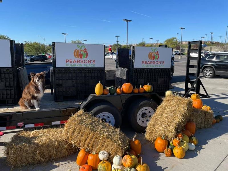 6 Nebraska Farms Where A Hayrack Ride Carries You Out To The Pumpkin Field - Decor Hint Pearson's Pumpkin Place in Eagle
