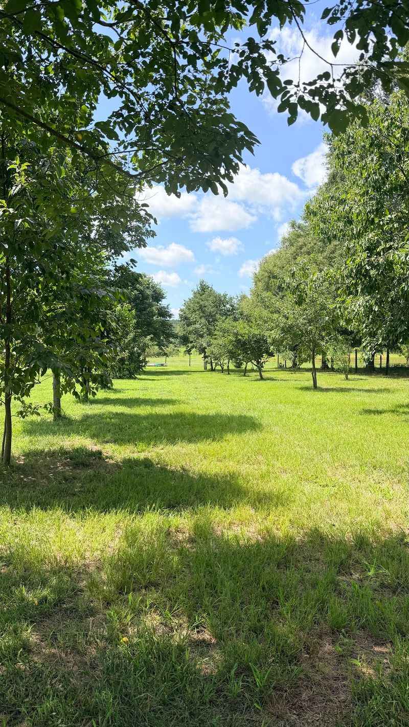 12 Of The Best Apple Orchards In North Carolina For The Perfect Fall Picking Trip - Decor Hint Hidden River Farm