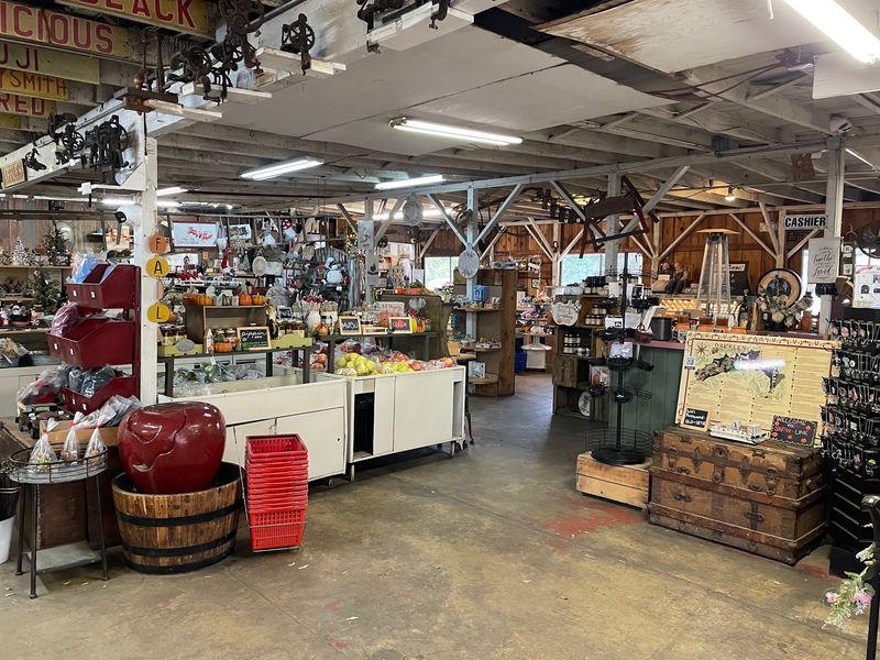 Snow-Line Orchard: Cider Donuts in the Mountains