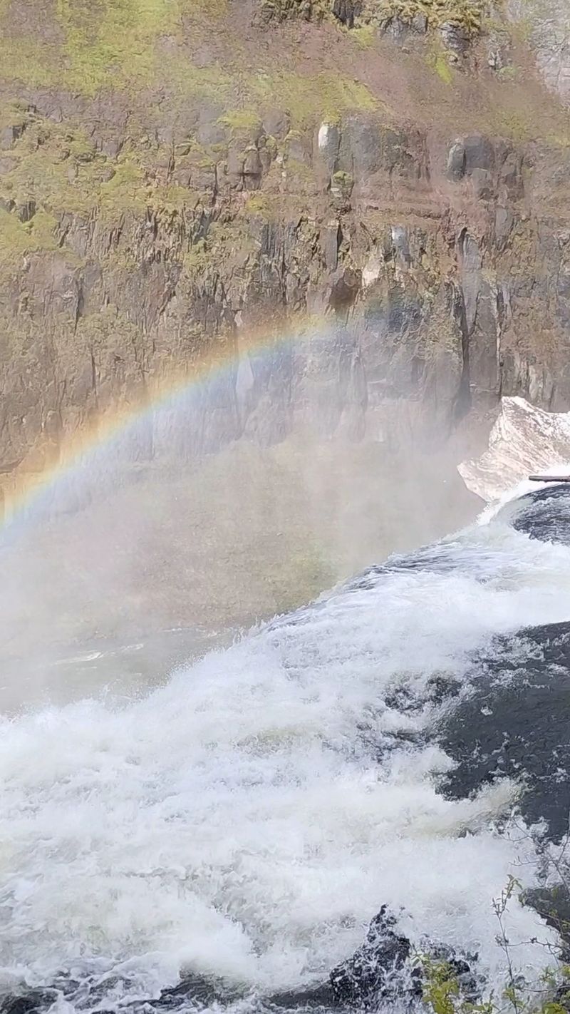 Rainbows Caught In The Mist