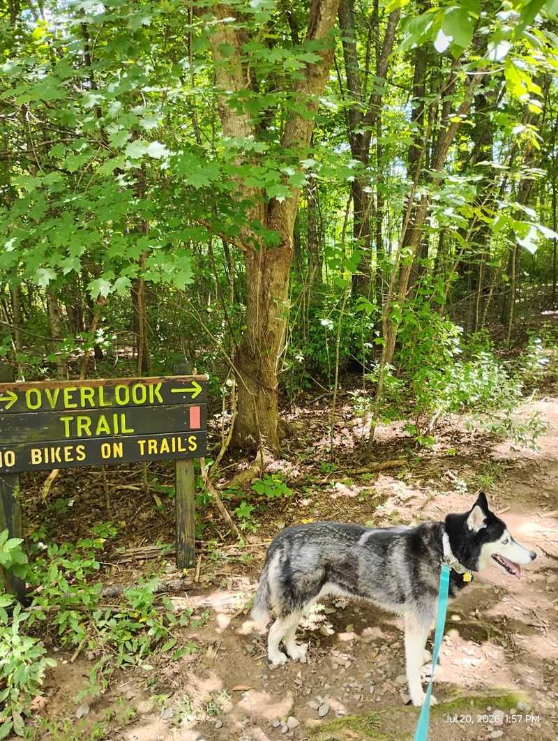 Duck Island Loop Trail, Kingsport