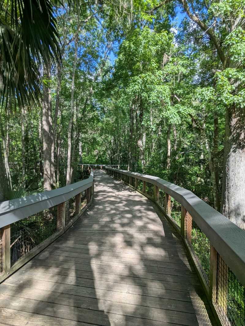 Silver Springs State Park, Silver Springs