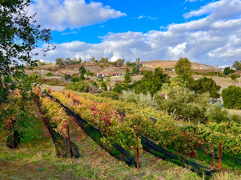 Ramona: Wine Country With Room To Breathe