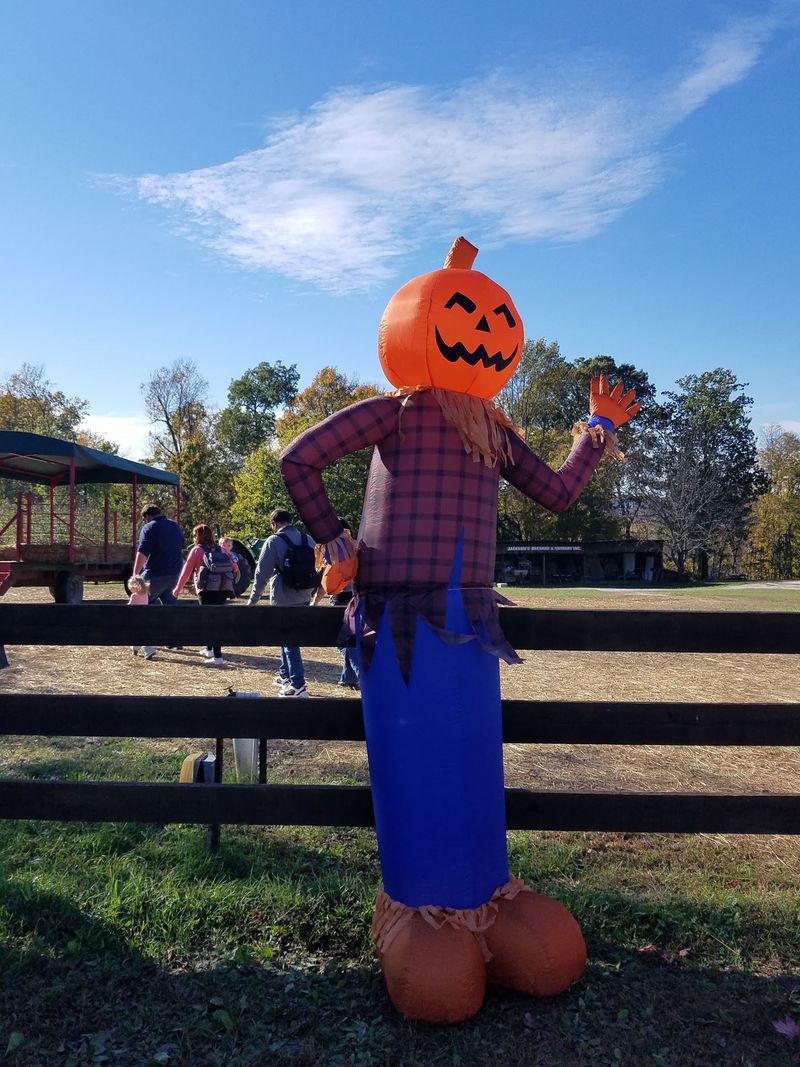 Pumpkin Festival At Jackson's Orchard