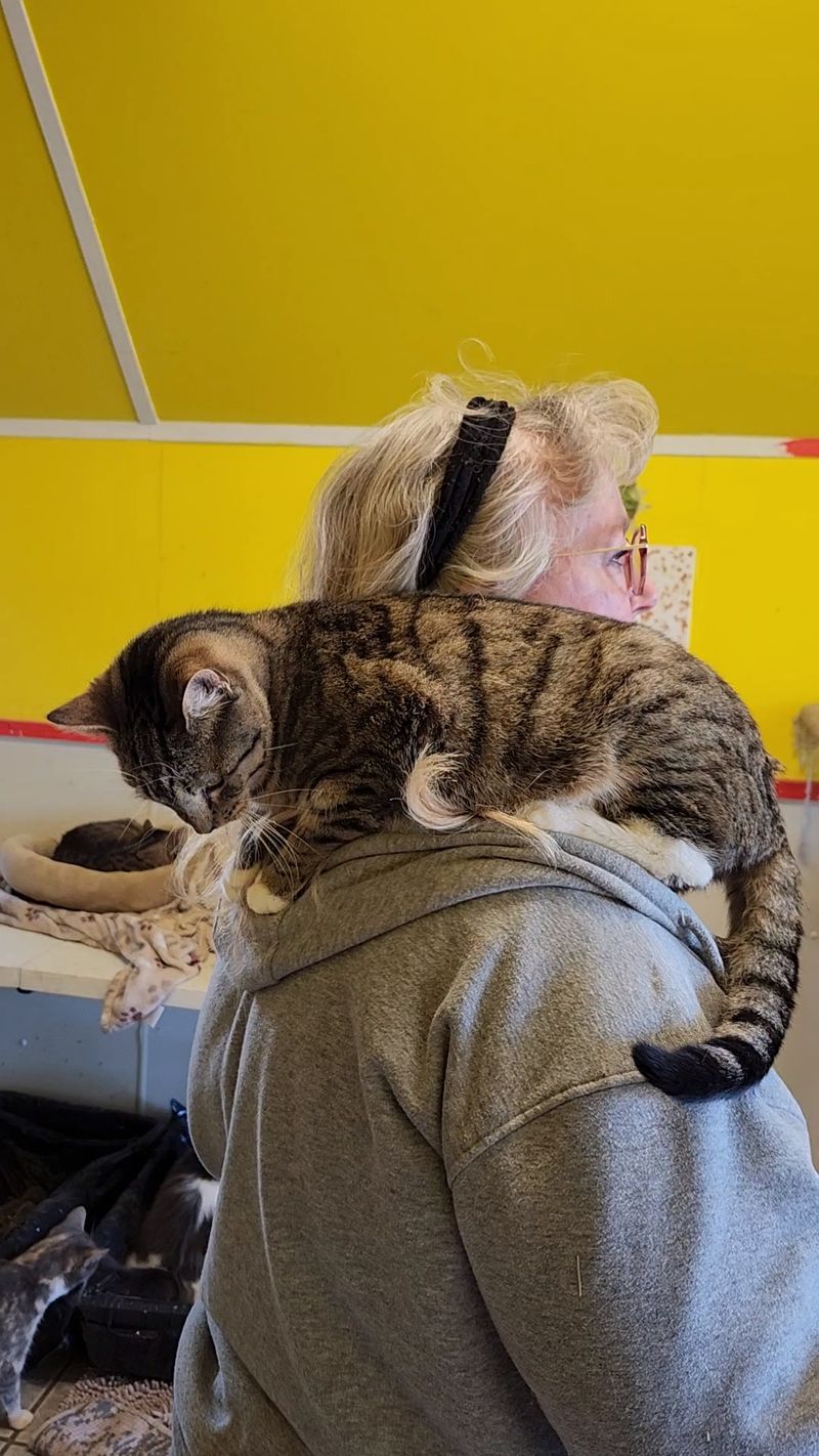 Owensboro Humane Society